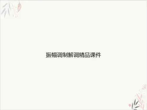 振幅调制解调精品ppt课件
