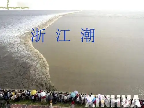 北师大版语文第九册《浙江潮》第二课时PPT课件