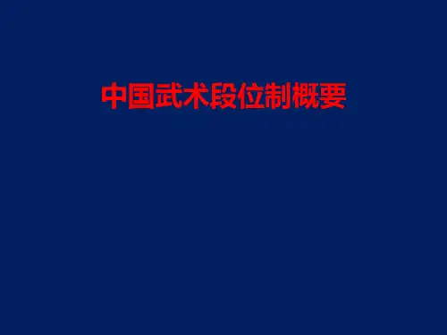 中国武术段位制概要