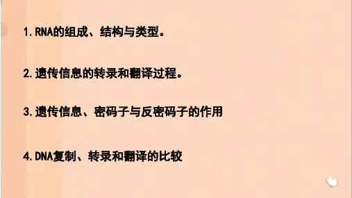 遗传信息的转录和翻译ppt课件.pptx