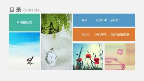 高考物理复习讲义课件十六 光学
