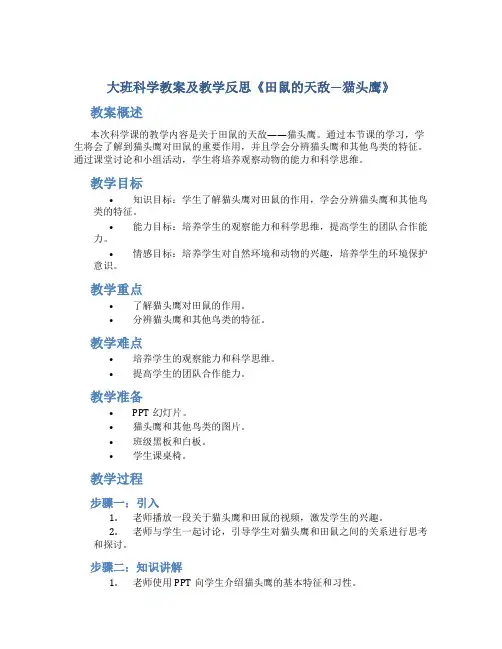 大班科学教案及教学反思《田鼠的天敌—猫头鹰》