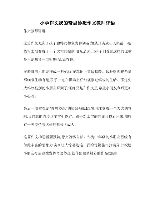 小学作文我的奇思妙想作文教师评语