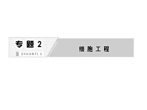 专题2   2.1   植物细胞工程 2.1.1  植物细胞工程在基本技术