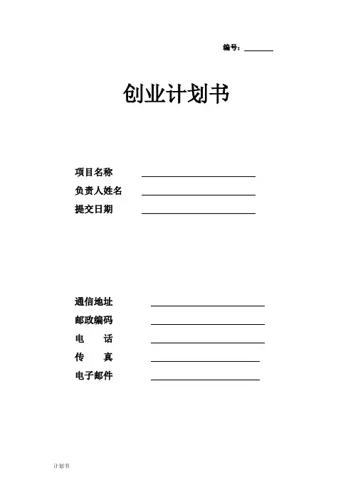 团队 创业计划书模
