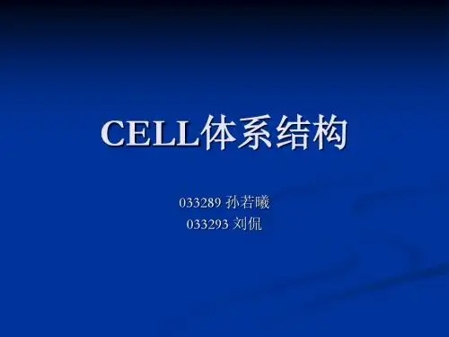 CELL体系结构
