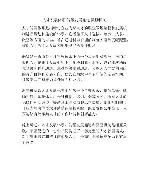 人才发展体系 能级发展通道 激励机制