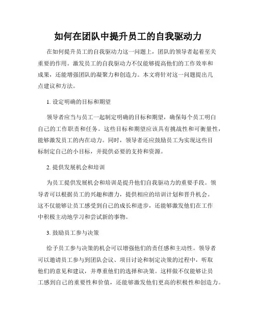 如何在团队中提升员工的自我驱动力