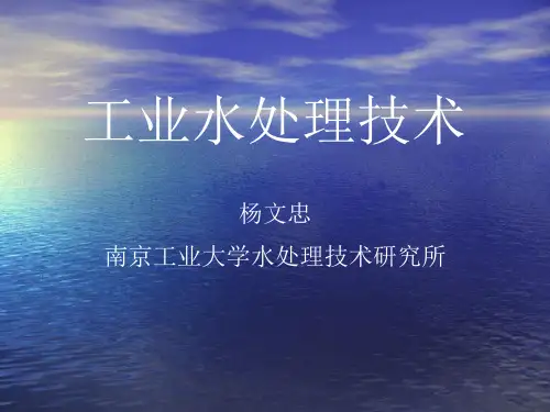 工业水处理技术.ppt