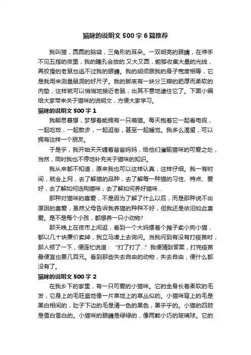 猫咪的说明文500字6篇推荐