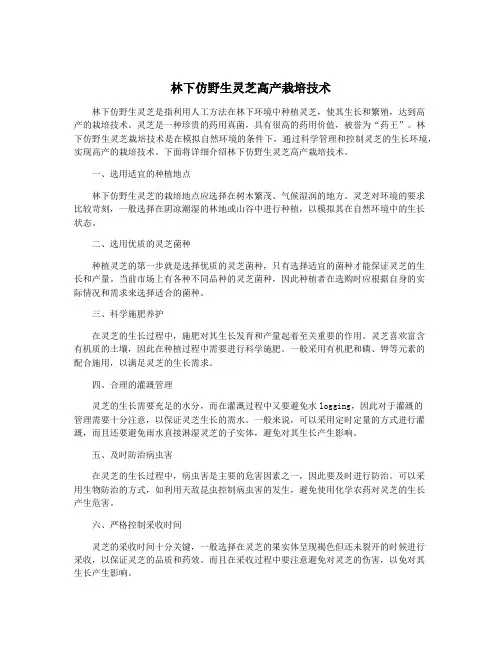 林下仿野生灵芝高产栽培技术