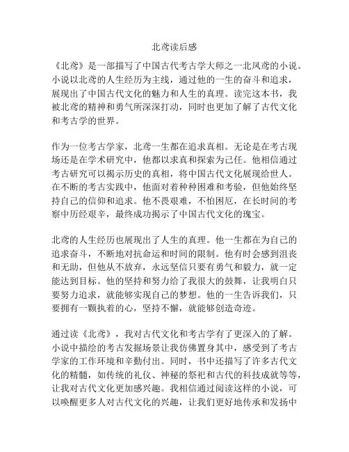 北鸢读后感