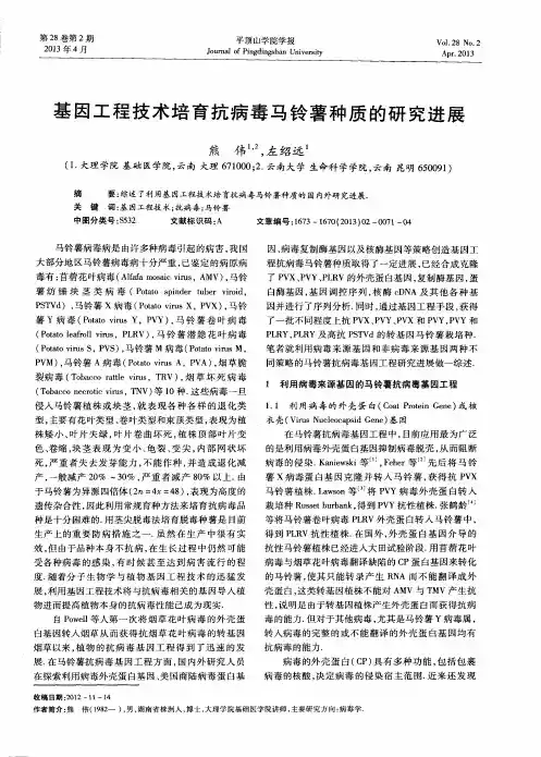 基因工程技术培育抗病毒马铃薯种质的研究进展
