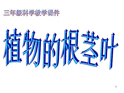小学三年级科学植物的根茎叶(课堂PPT)