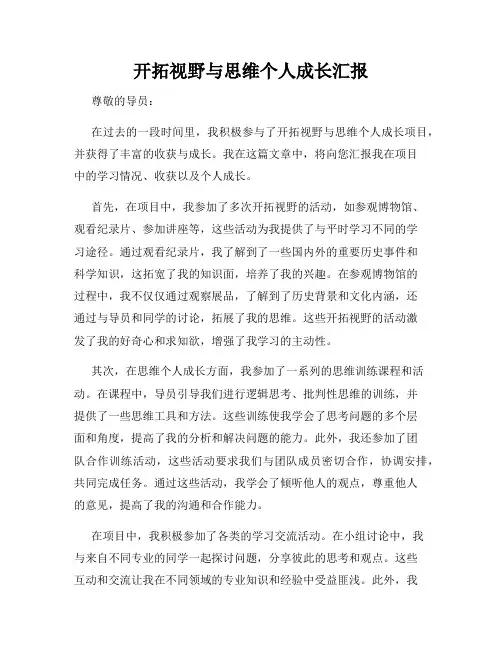 开拓视野与思维个人成长汇报