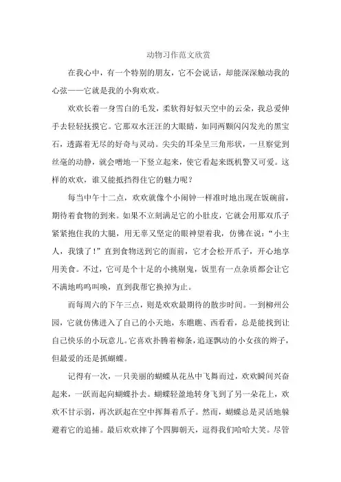 动物习作范文欣赏