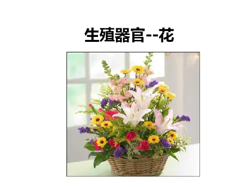 植物学 七花