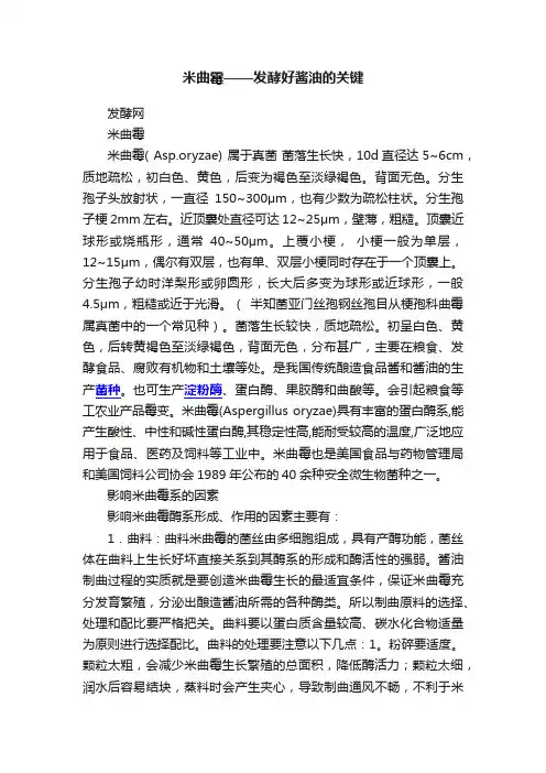 米曲霉——发酵好酱油的关键