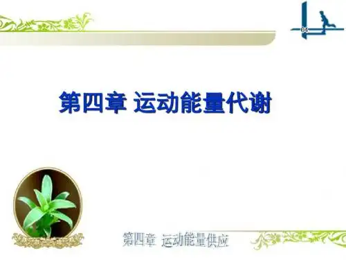 04-第四章运动能量代谢