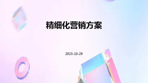 精细化营销方案