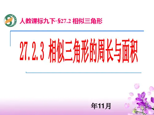 相似三角形的周长与面积.优秀精选PPT