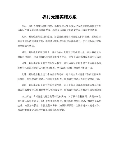 农村党建实施方案