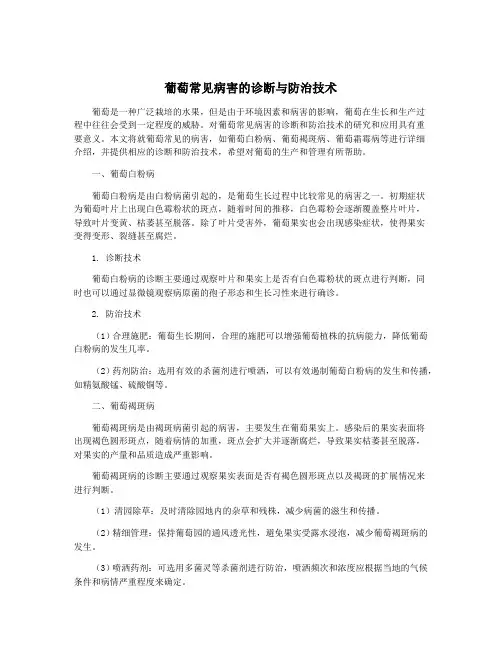 葡萄常见病害的诊断与防治技术