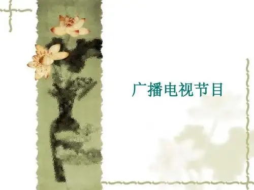 电视节目及其构成要素
