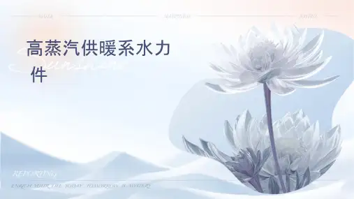 高压蒸汽供暖系统水力计算课件
