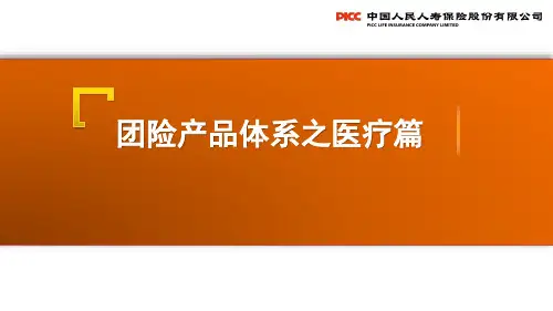 个险团险渠道新人岗前培训之团险产品体系之医疗篇(2017版)