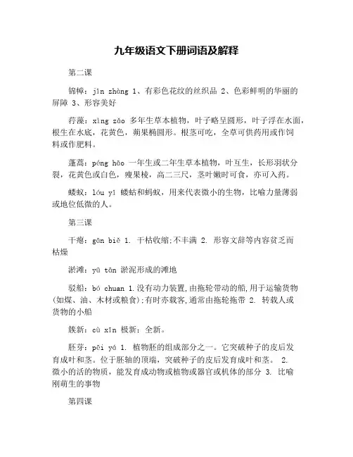 九年级语文下册词语及解释