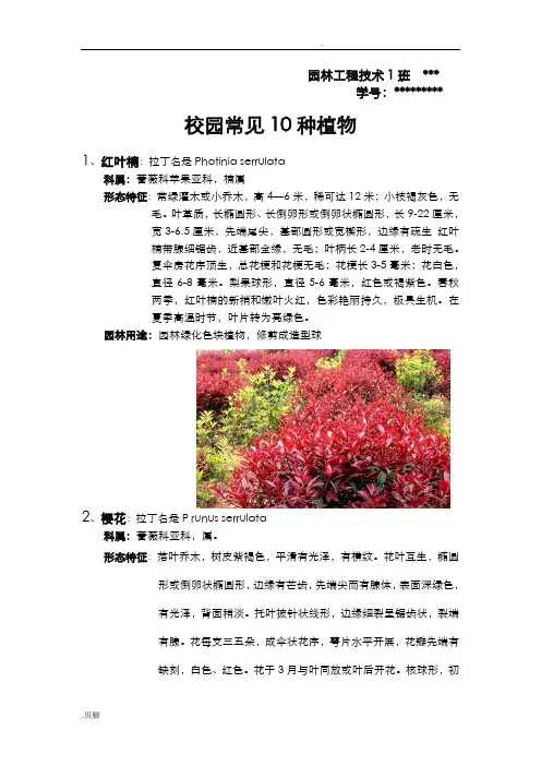 校园常见10种植物