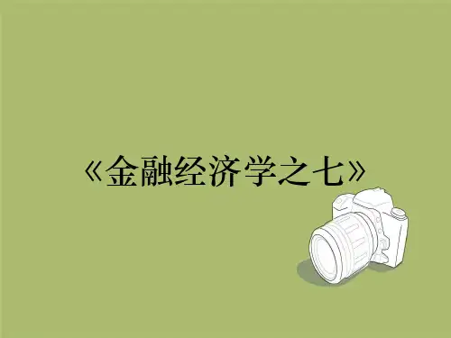 《金融经济学之七》