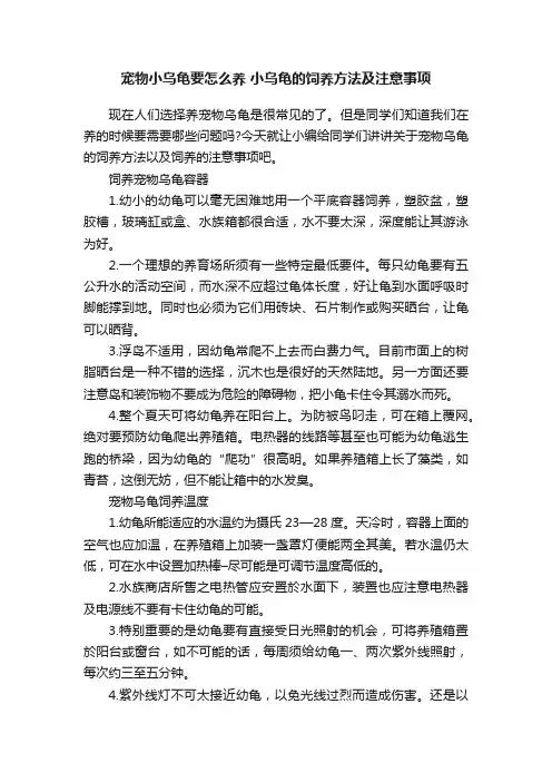 宠物小乌龟要怎么养小乌龟的饲养方法及注意事项