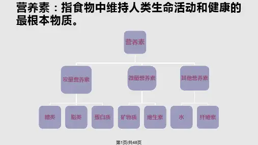 运动营养学基础PPT课件