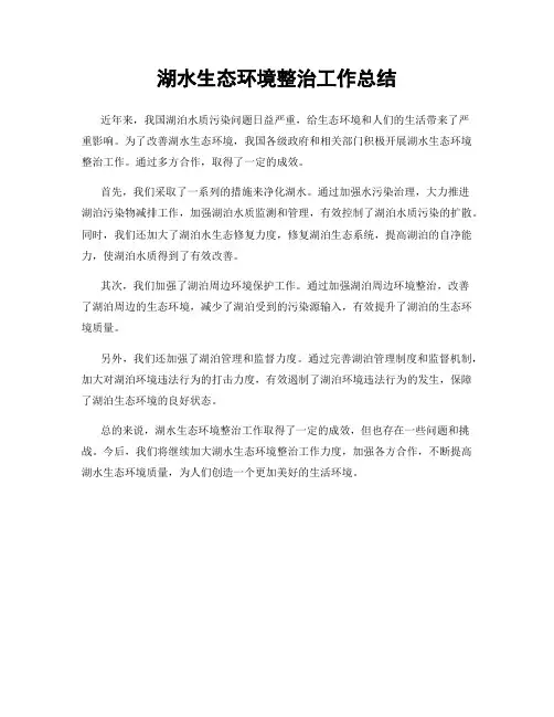 湖水生态环境整治工作总结