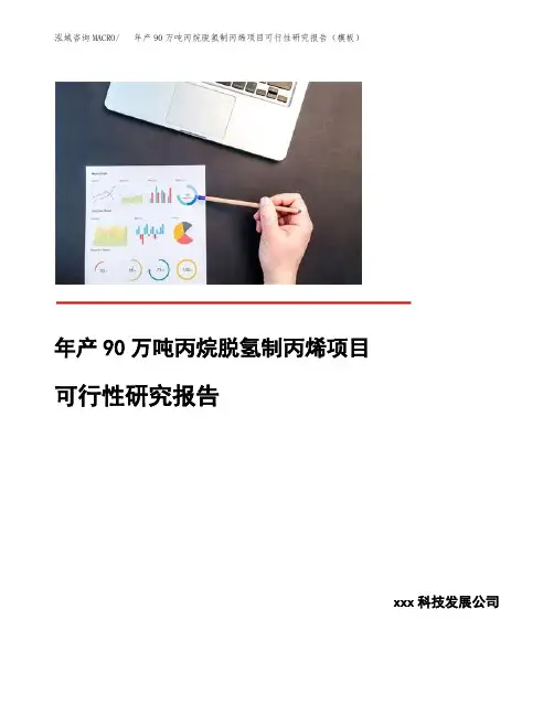 年产90万吨丙烷脱氢制丙烯项目可行性研究报告(模板)