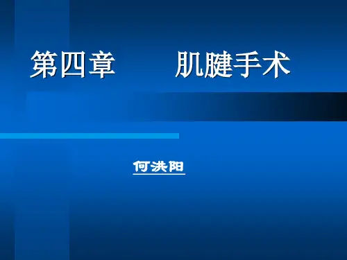 肌腱手术(骨伤手术学)