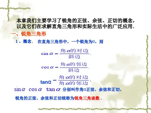 课件锐角三角形复习.ppt