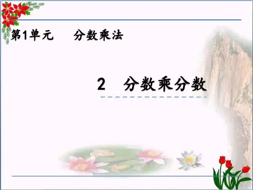 数学分数乘分数(共20张PPT)人教版优秀课件