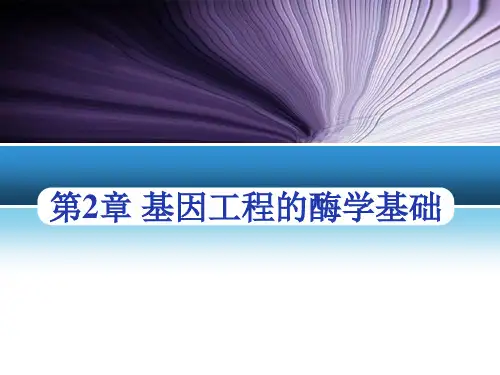 第2章基因工程的酶学基础