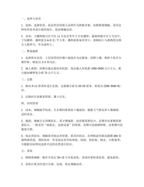 樟树港辣椒种植管理技术