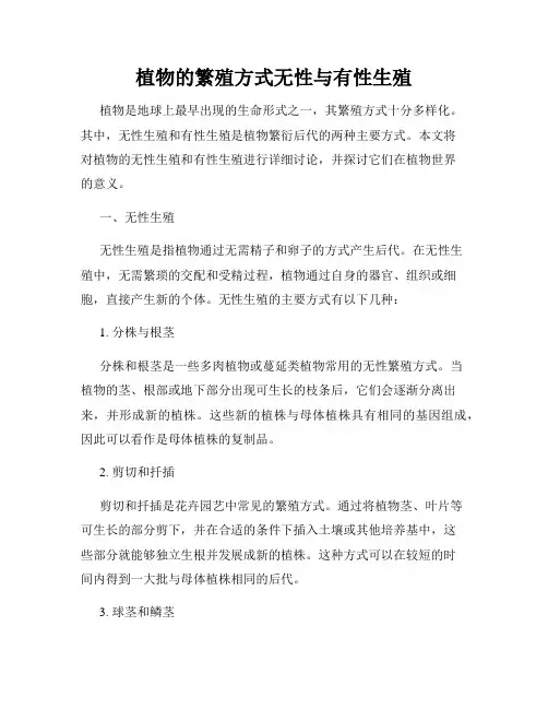 植物的繁殖方式无性与有性生殖