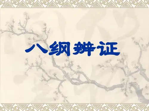 八纲辨证-2