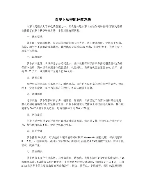 白萝卜秋季的种植方法