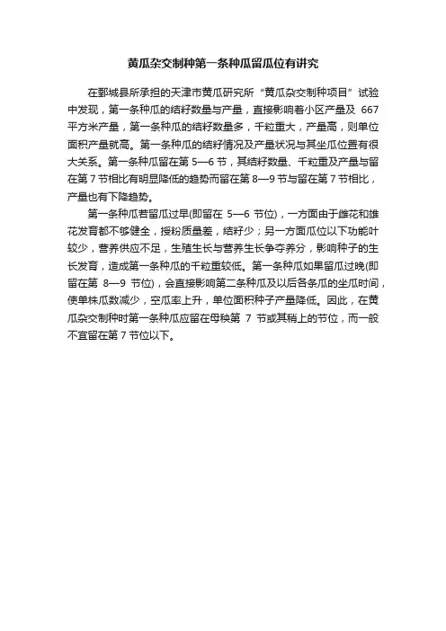 黄瓜杂交制种第一条种瓜留瓜位有讲究