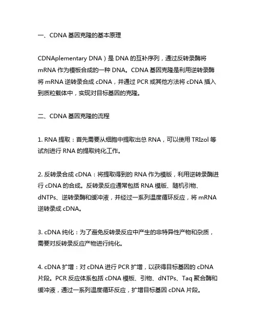 cdna基因克隆的基本原理和流程