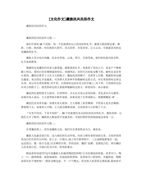 [文化作文]藏族民风民俗作文