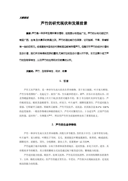 文献综述