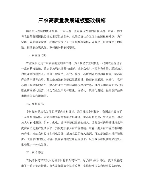 三农高质量发展短板整改措施